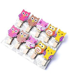 Load image into Gallery viewer, Wooden Paper Clips Set – Dreamer, Owl, Flamingo, Cactus &amp; Elephant Designs with String (Set of 10) Gardino