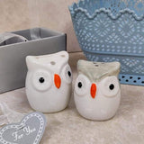 Load image into Gallery viewer, Gardino Delightful Ceramic Owl Salt and Pepper Shakers Set - Add a Touch of Fun to Your Dining Table Gardino